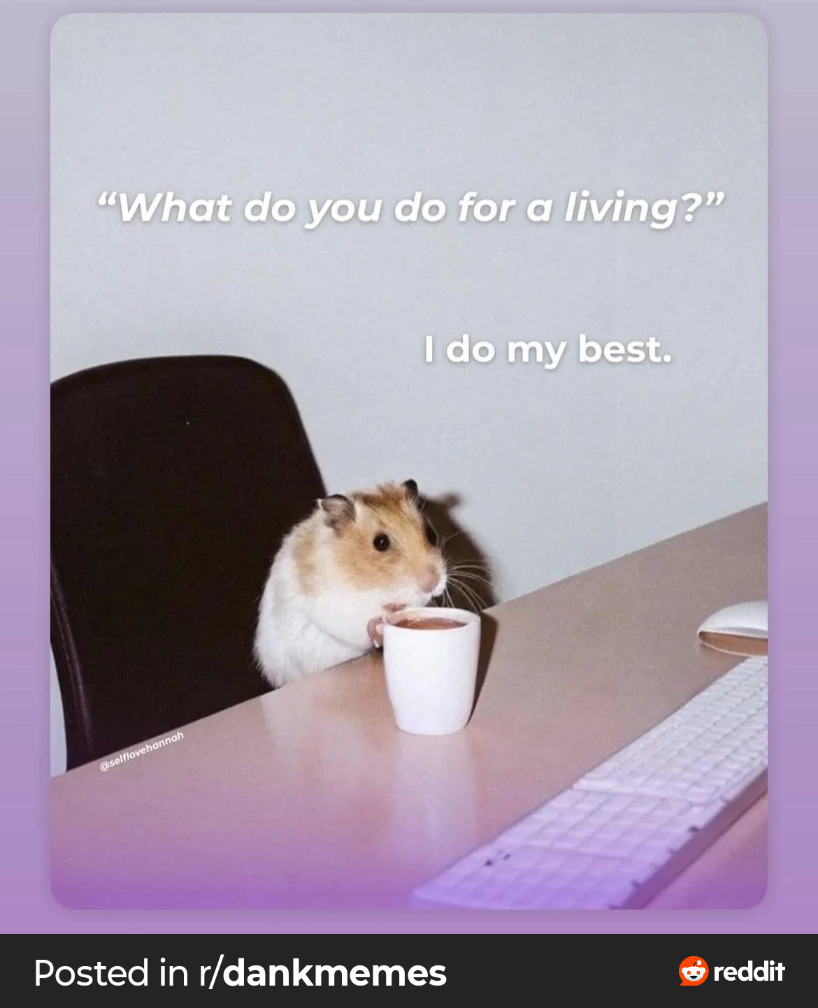 I do my best