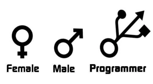 I am a programmer !