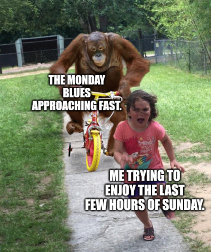 A productive Sunday cause I made a meme.
