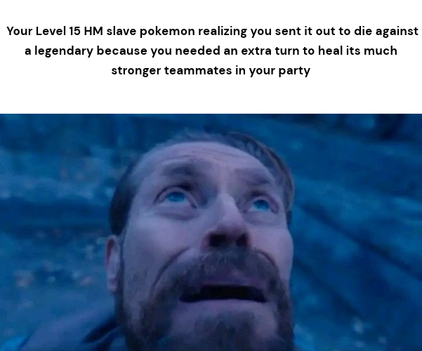 Your sacrifice will not be in vain, my friend