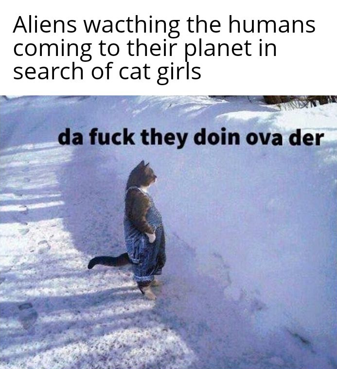"What's a cat?"