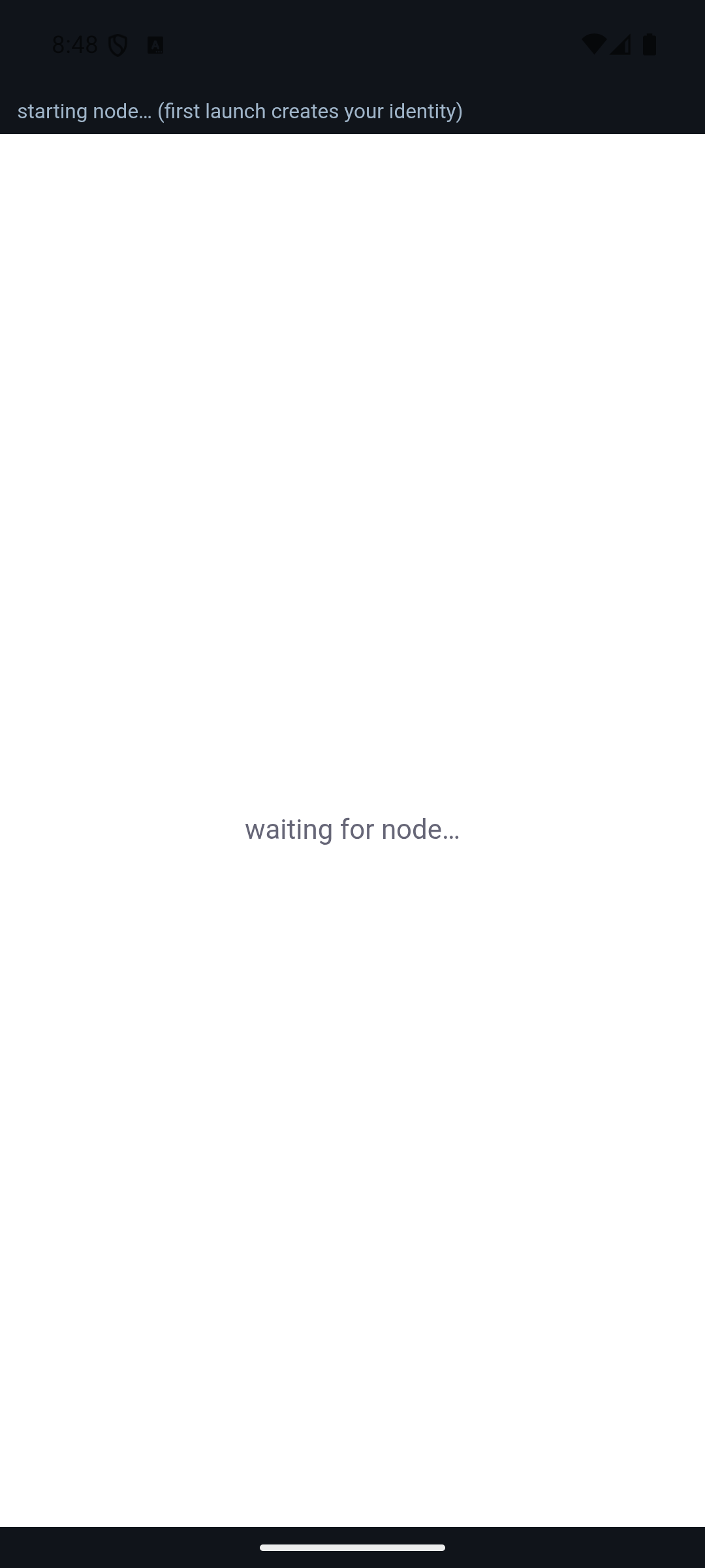 Swimchain first launch: 'starting node… (first launch creates your identity)'